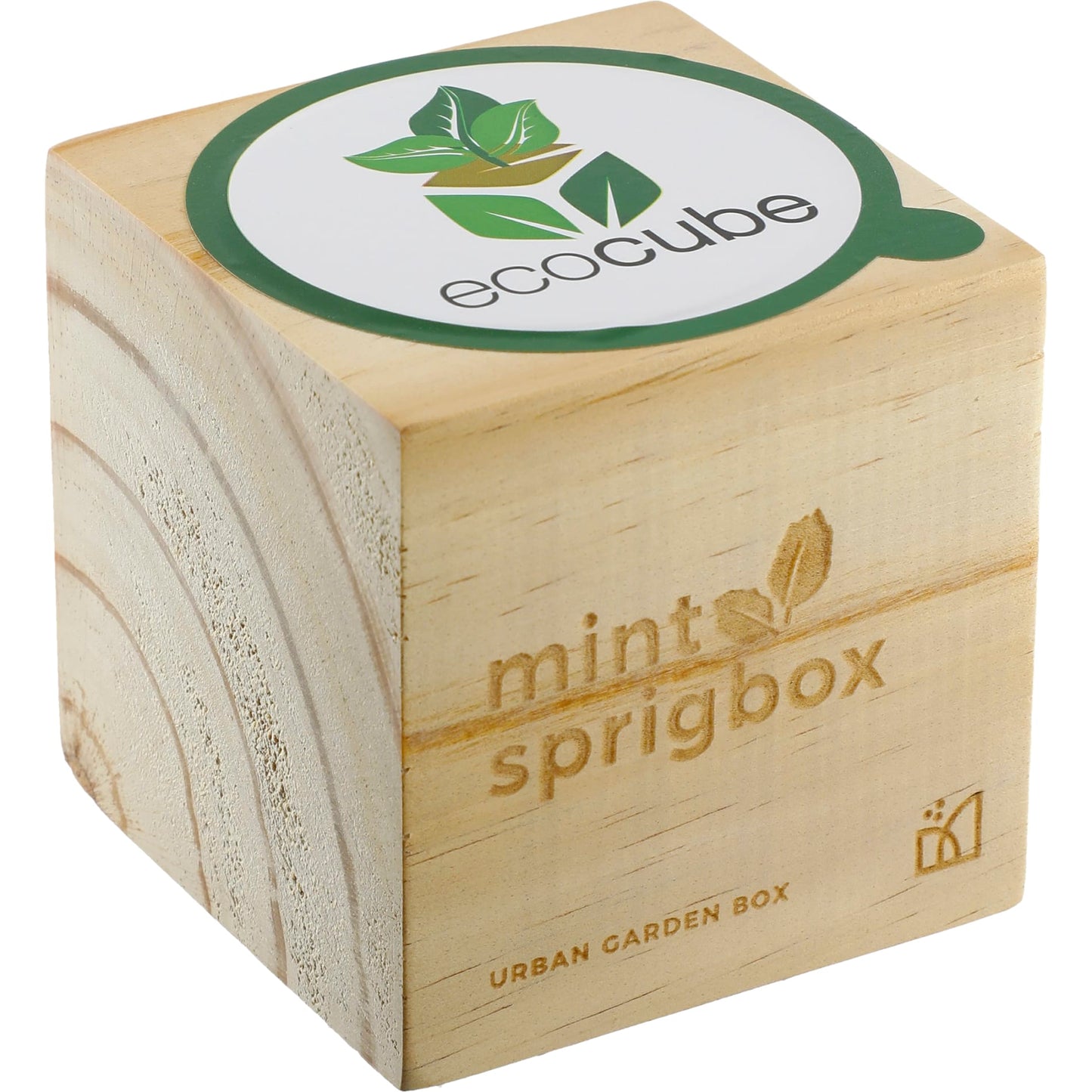 Swaasi Core - Sprigbox Mint Grow Kit